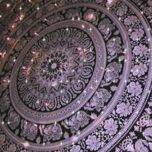 Meet your Posher, Mackenzie